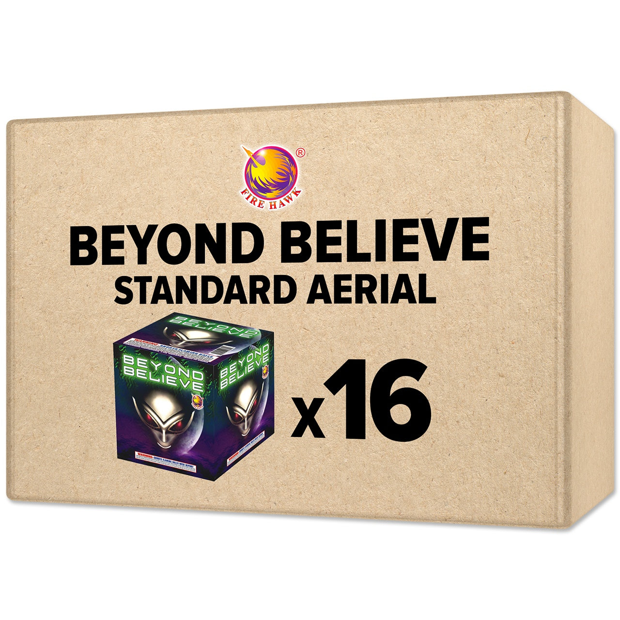 Beyond Believe 16 Shot Standard Aerial Standard Aerial Cakes (Up to 200 Grams)