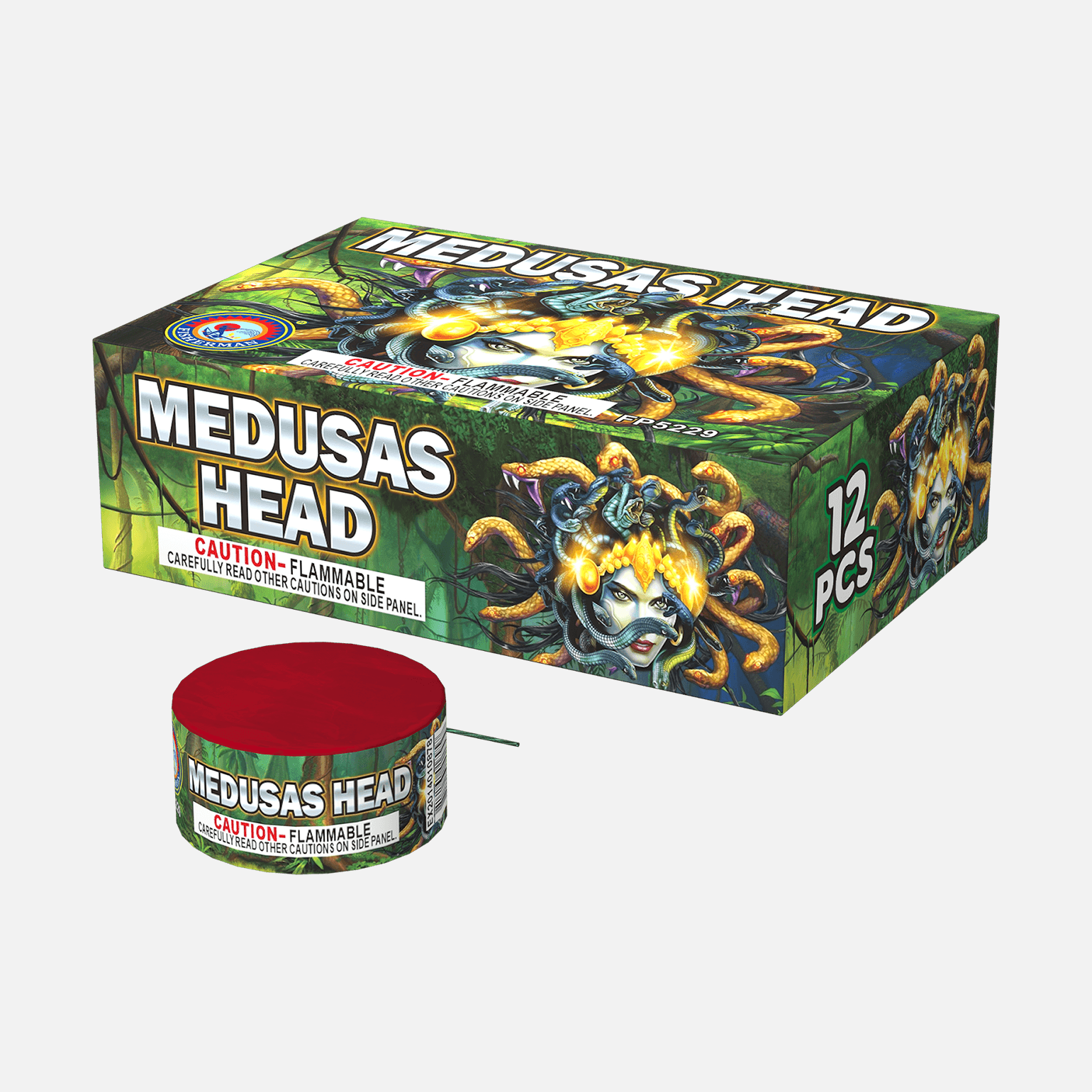 Medusas Head