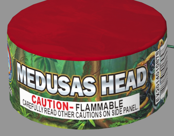 Medusas Head