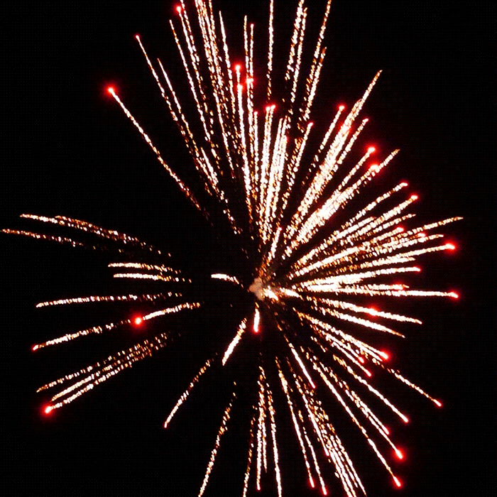 Nexus® Sky & Ground Show Sampler®