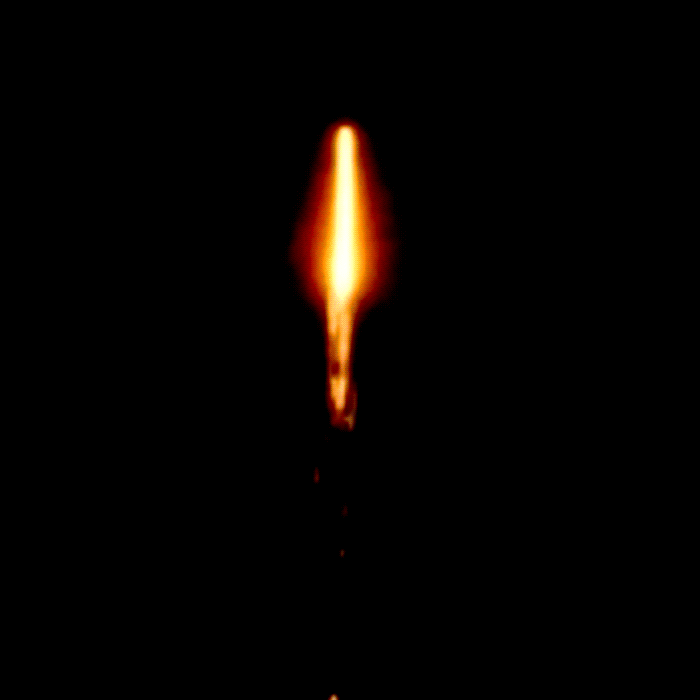 Magic Blooms™  10 Shot Roman Candles
